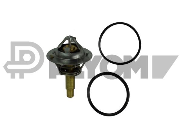 Thermostat, coolant (P770205)