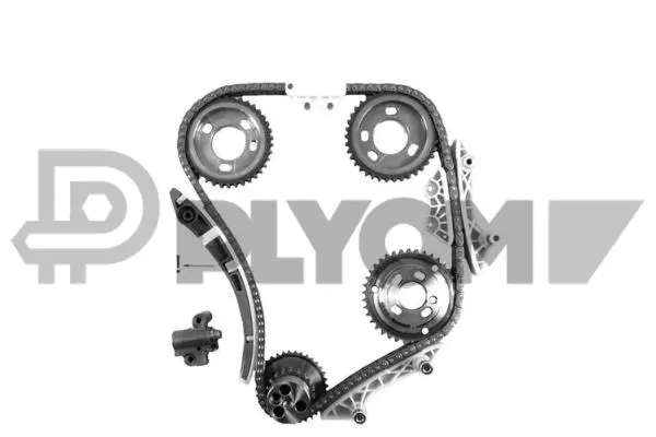 Timing Chain Kit (P752117)