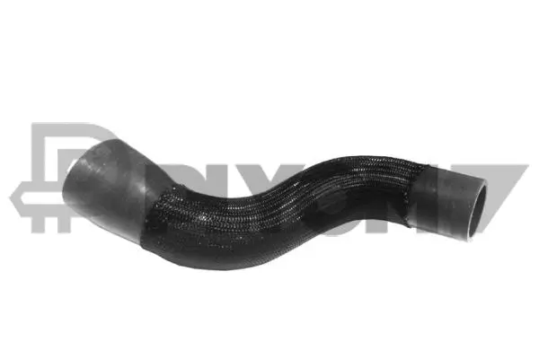 Charge Air Hose (P026842)