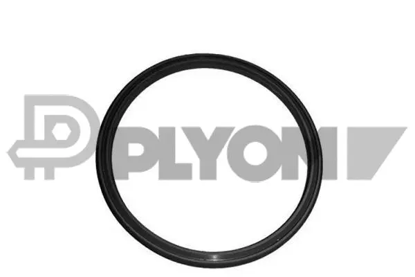 Seal Ring, charge air hose (P751979)