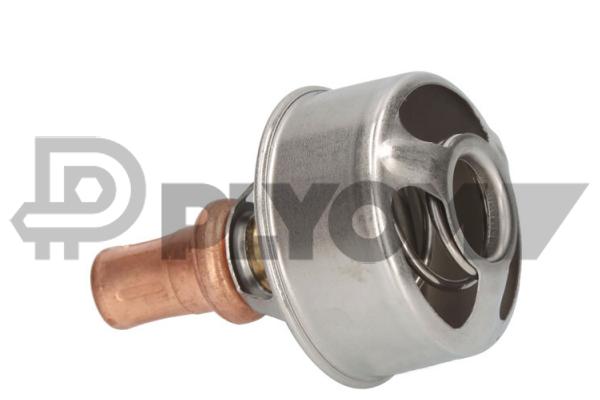 Thermostat, coolant (P756905)