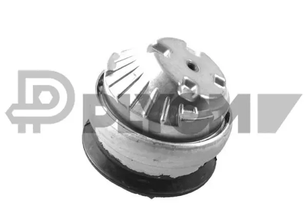 Mounting, engine (P753625)