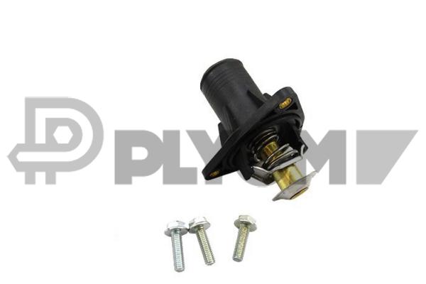 Thermostat, coolant (P772138)