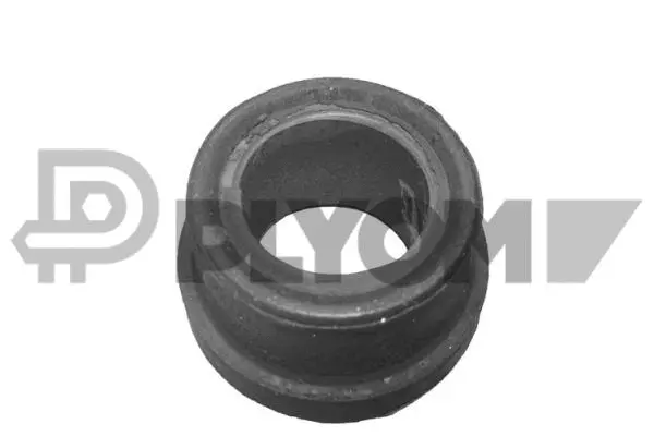Holder, control arm mounting (P030134)