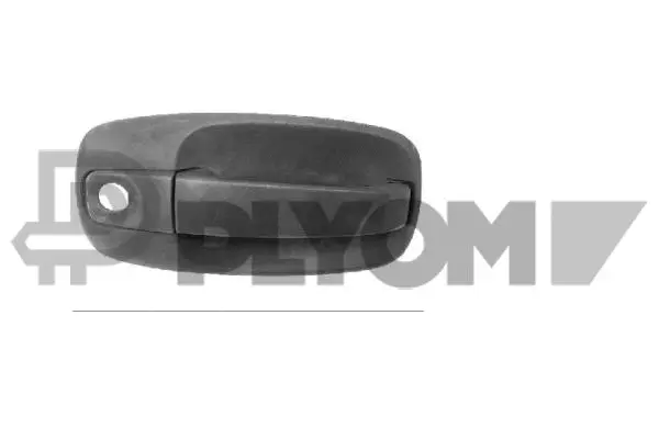 Exterior Door Handle (P767774)