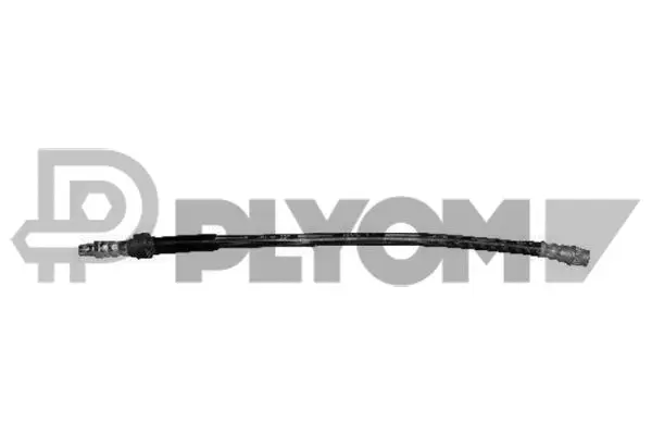 Brake Hose (P020018)
