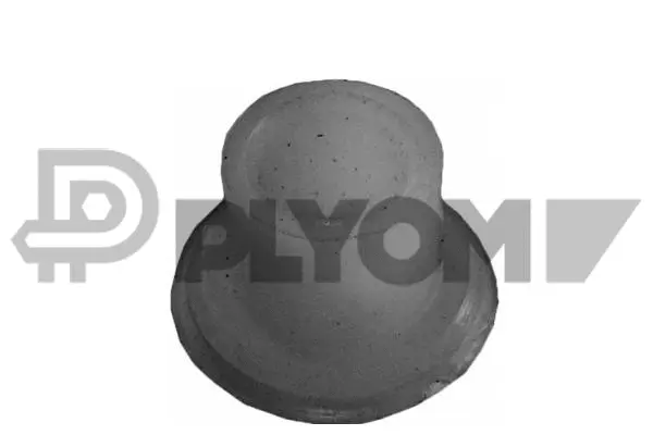 Bushing, selector/shift rod (P030274)