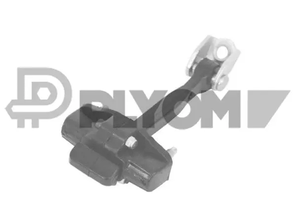 Door Check (P770680)