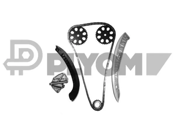 Timing Chain Kit (P462411)