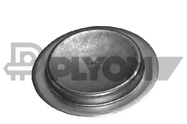 Frost Plug (P950068)