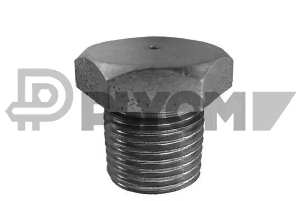 Screw Plug, oil sump (P952000)