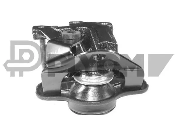 Mounting, engine (P756045)