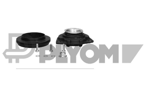 Repair Kit, suspension strut support mount (P021322)