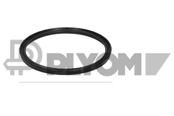 Seal Ring, charge air hose (P776044)