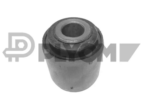 Mounting, control/trailing arm (P020816)