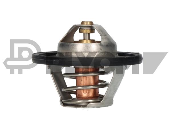 Thermostat, coolant (P756862)