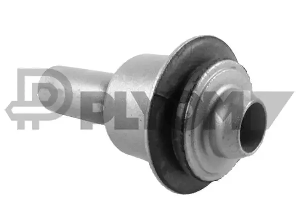 Bushing, axle beam (P755589)