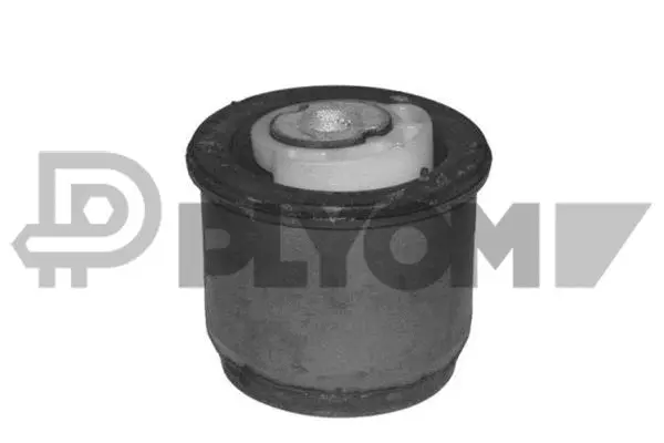 Bushing, axle beam (P011430)