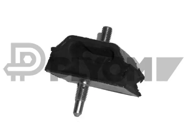Bushing, axle beam (P030298)