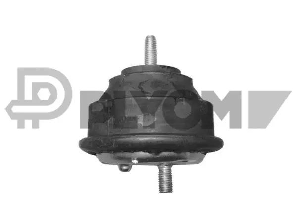 Mounting, engine (P200931)