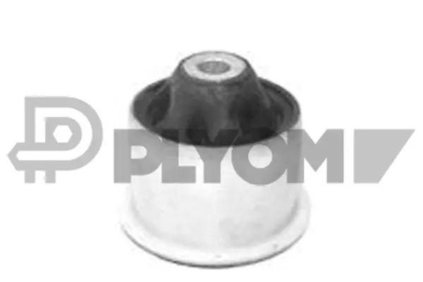 Bushing, axle beam (P755681)