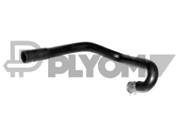 Radiator Hose (P036450)