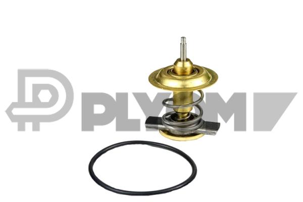Thermostat, coolant (P774593)