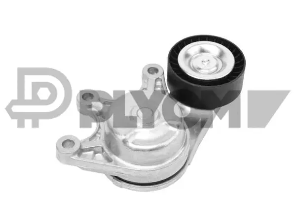 Tensioner Lever, V-ribbed belt (P751899)