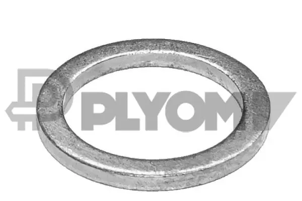 Seal Ring, oil drain plug (P751985)