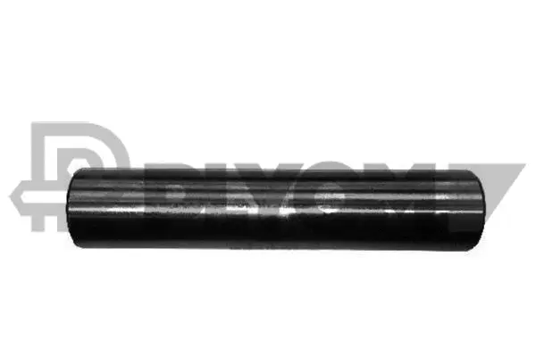 Mounting, axle strut (P031445)