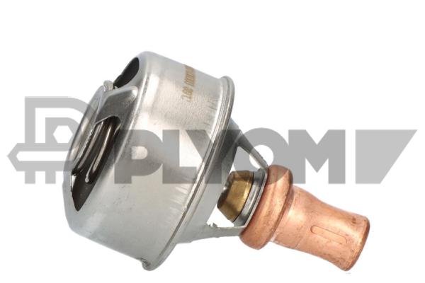 Thermostat, coolant (P756903)