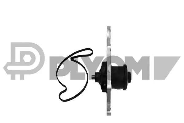Water Pump, engine cooling (P768768)