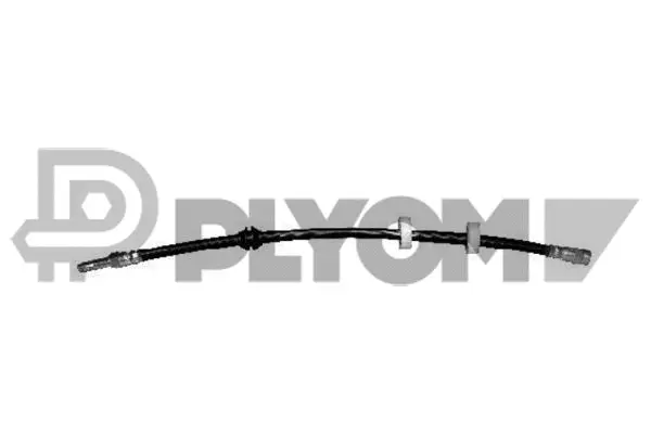 Brake Hose (P010039)