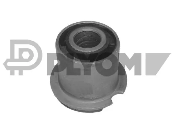 Bushing, axle beam (P755670)