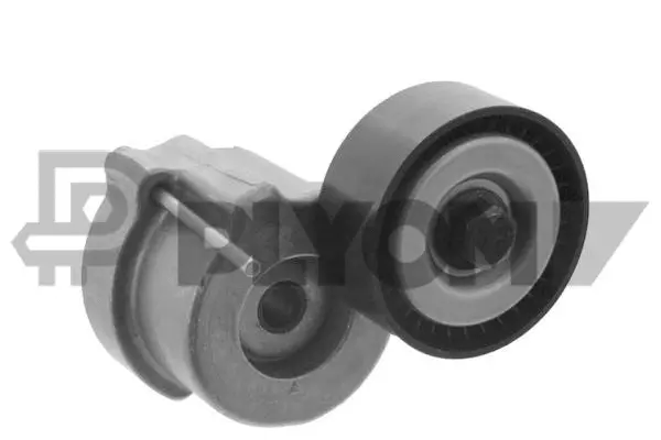 Repair Kit, v-ribbed belt tensioner (P769711)