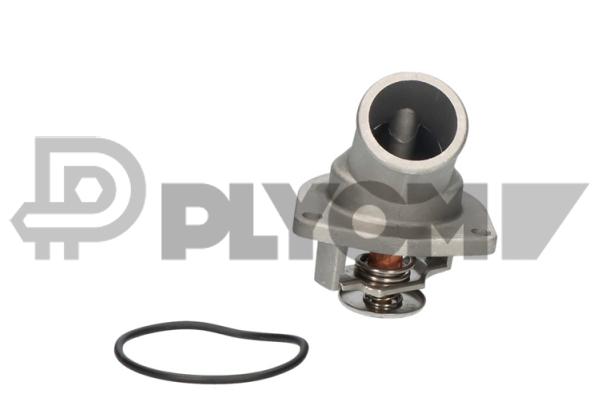 Thermostat, coolant (P756737)