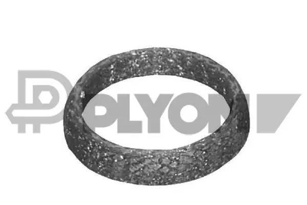 Seal Ring, exhaust pipe (P954200)