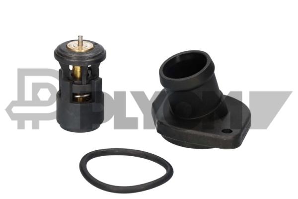 Thermostat, coolant (P461091)