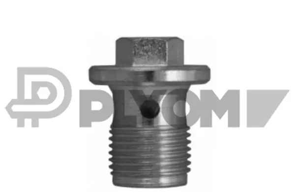 Screw Plug, oil sump (P955354)
