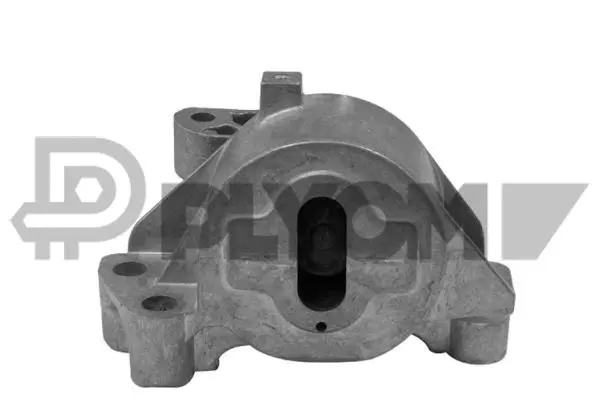 Mounting, engine (P031494)