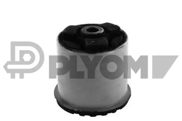 Bushing, axle beam (P480558)