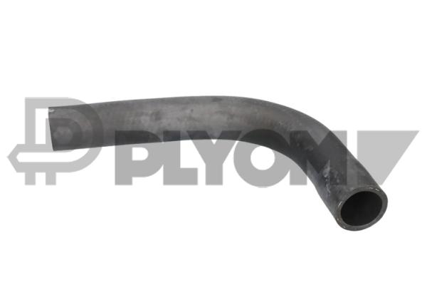 Radiator Hose (P026422)