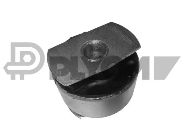 Mounting, control/trailing arm (P020126)