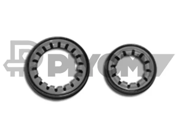 Shaft Seal, differential (P031094)