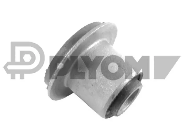 Bushing, axle beam (P759570)