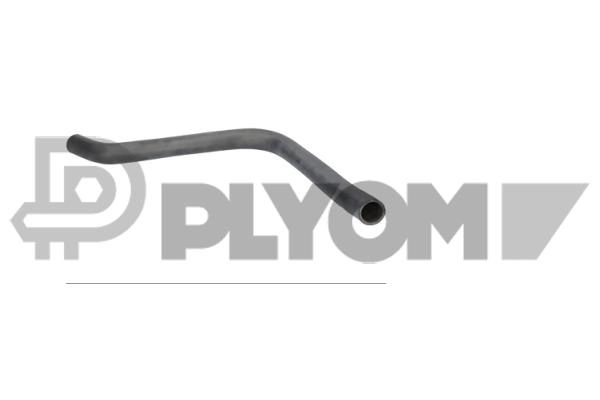 Radiator Hose (P026729)