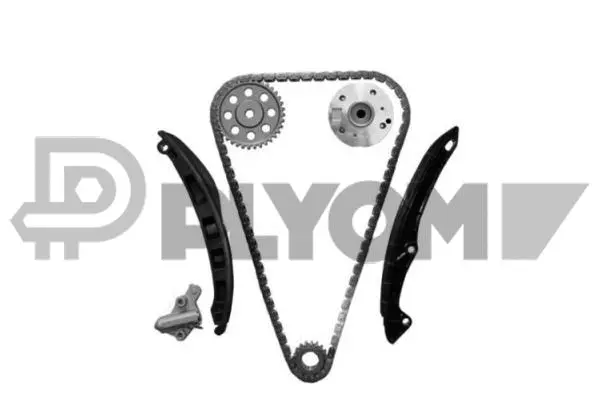 Timing Chain Kit (P752080)
