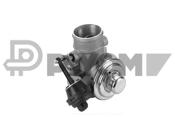 EGR Valve (P770398)