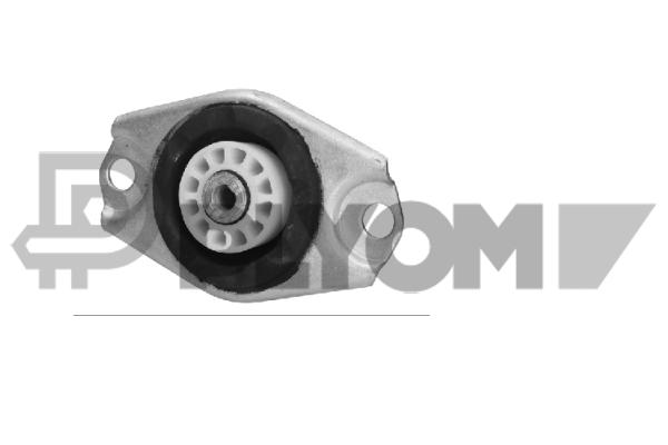 Mounting, engine (P756103)