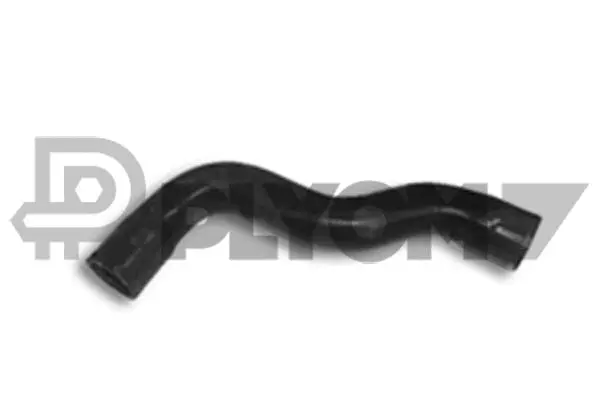 Radiator Hose (P036446)